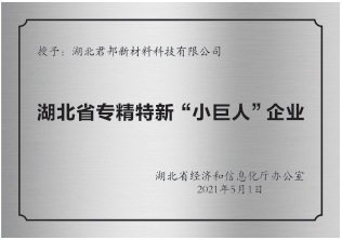 湖北省專精特新“小巨人”認定